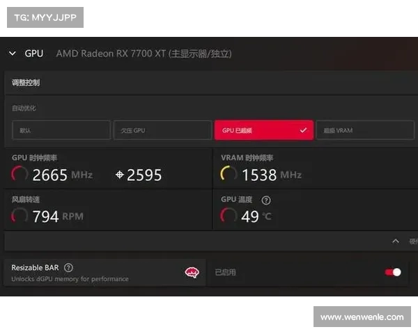AMD混合显卡设置后玩游戏卡顿问题及解决方案分析